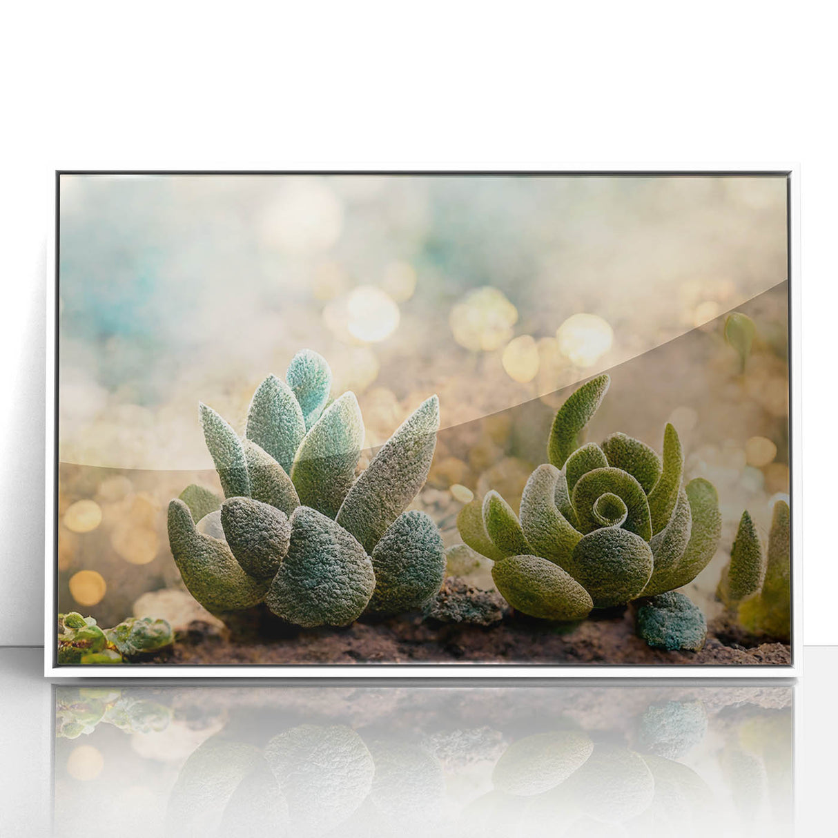 Framed abstract floral wall art in a white frame, featuring vibrant colors and intricate designs, perfect for modern home decor and artistic aesthetics.