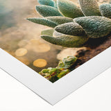 Abstract floral wall art on rolled canvas showcasing vibrant colors like teal, pink, and gold, ideal for modern home decor. Perfect for enhancing living spaces.