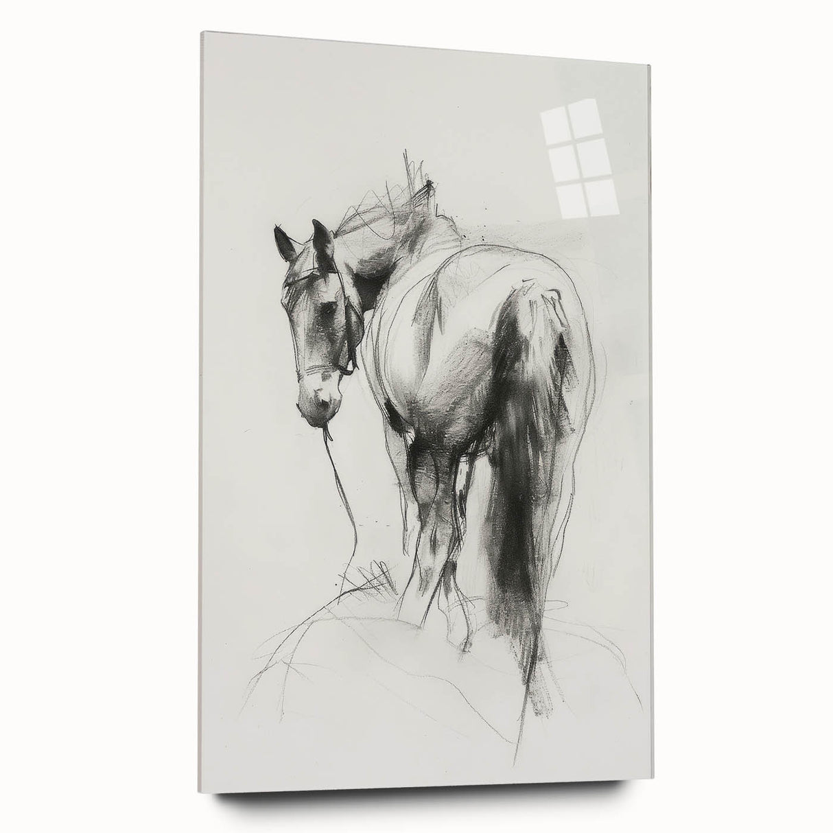 Acrylic glass display showcasing a vibrant animal design, viewed from the side, featuring intricate details and a sleek finish, perfect for modern decor accents.
