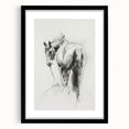 Framed animal-themed wall art with a black mat, showcasing intricate wildlife illustrations in vibrant colors, ideal for enhancing home decor or office spaces.