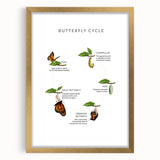 Butterfly Life Cycle Kids Educational Wall Art - Learning Poster
