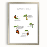 Butterfly Life Cycle Kids Educational Wall Art - Learning Poster