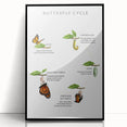 Butterfly Life Cycle Kids Educational Wall Art - Learning Poster