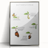 Butterfly Life Cycle Kids Educational Wall Art - Learning Poster