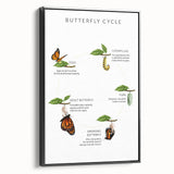 Butterfly Life Cycle Kids Educational Wall Art - Learning Poster