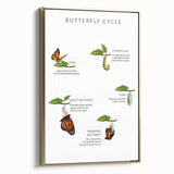 Butterfly Life Cycle Kids Educational Wall Art - Learning Poster