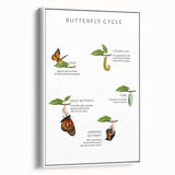 Butterfly Life Cycle Kids Educational Wall Art - Learning Poster