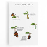 Butterfly Life Cycle Kids Educational Wall Art - Learning Poster