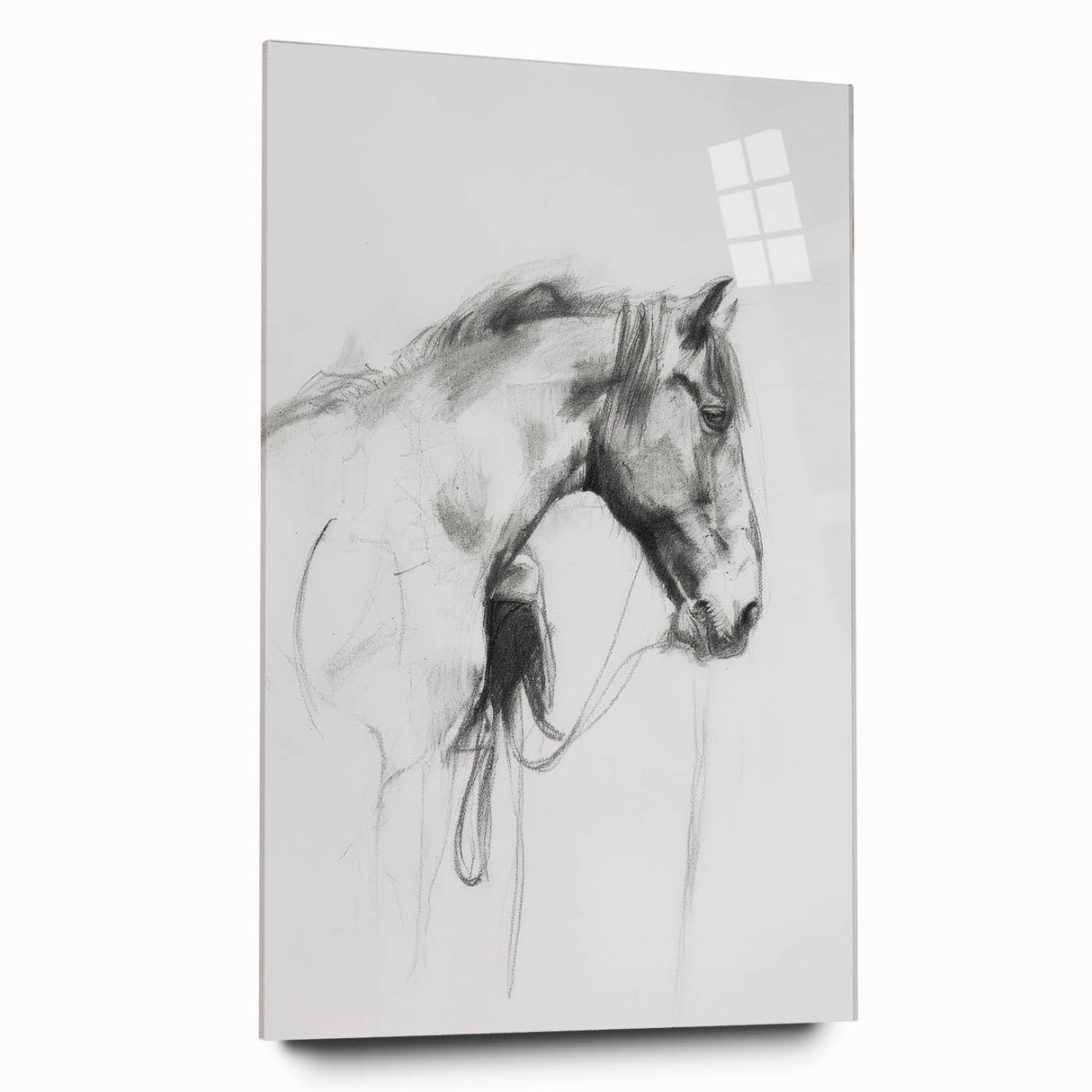 Acrylic glass artwork showcasing a vibrant animal design in a side view, emphasizing intricate details and vivid colors, perfect for modern home decor.