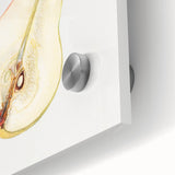 Large abstract wall art featuring assorted fruits in vibrant colors on acrylic glass, ideal for dining room decor.