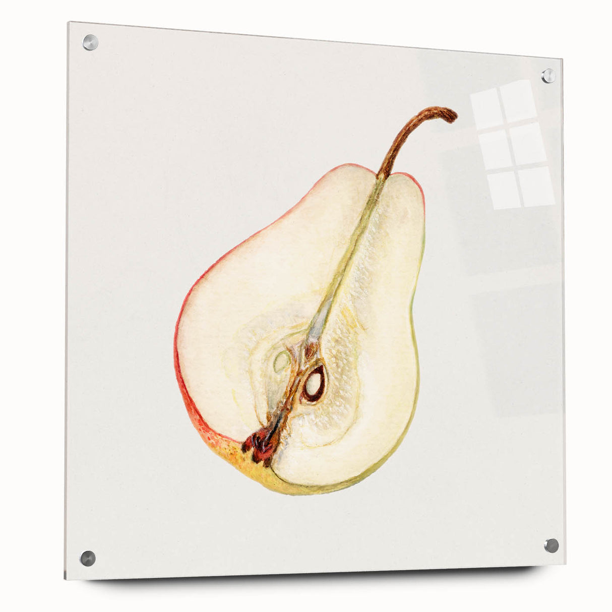 Acrylic print of large abstract fruit designs in vibrant colors, ideal for dining room decor.