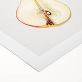 Art deco poster featuring assorted fruits in vibrant colors on rolled canvas, suitable for dining room decor.