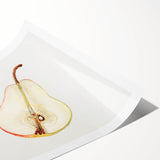 Extra large rolled print featuring line art flowers in monochrome, ideal for large living room wall art.