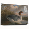 Goosander Dun Diver Art Print - Robert Wilkinson Padley Realism Bird Decor