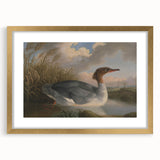 Goosander Dun Diver Art Print - Robert Wilkinson Padley Realism Bird Decor