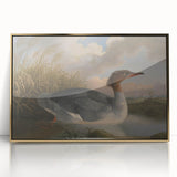 Goosander Dun Diver Art Print - Robert Wilkinson Padley Realism Bird Decor