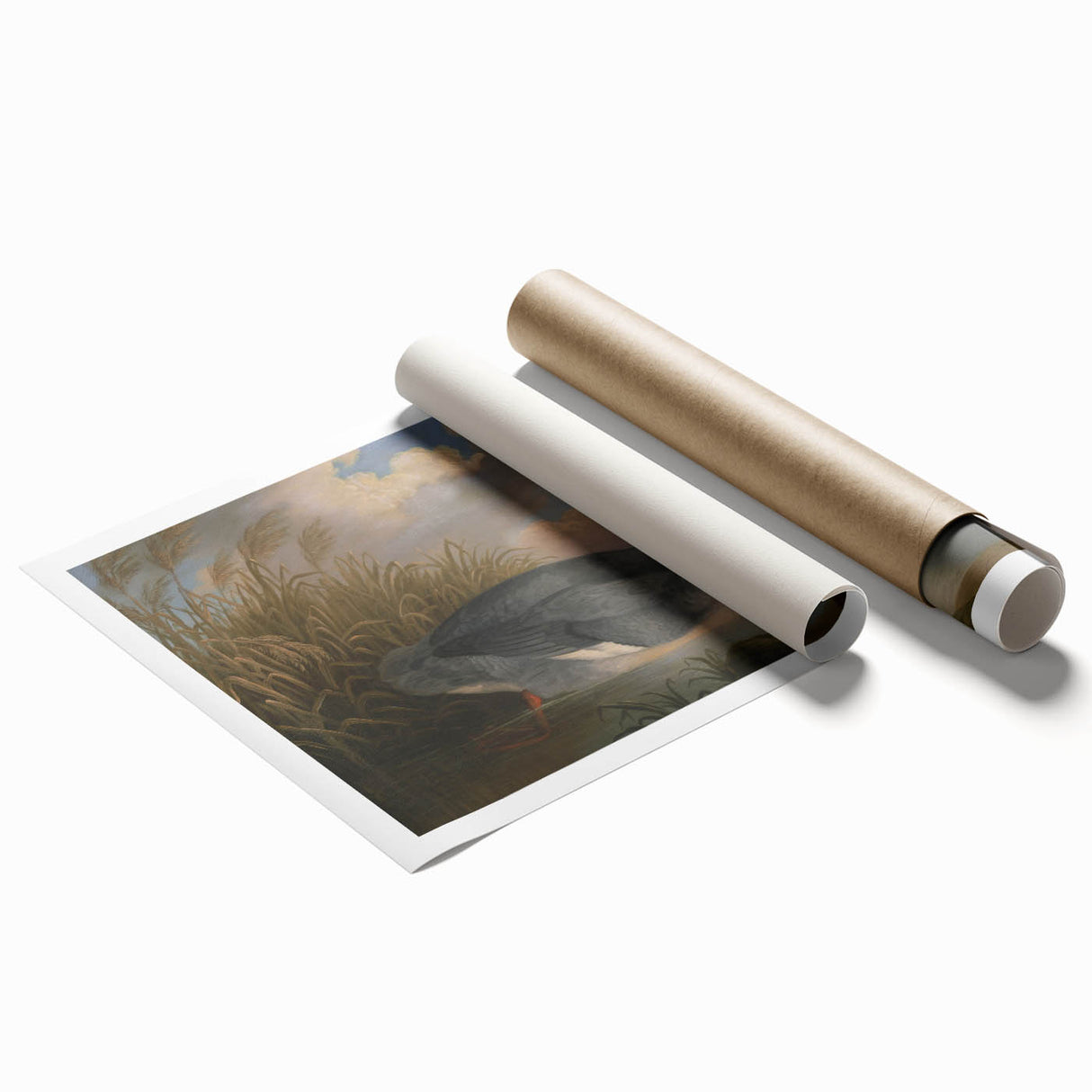 Goosander Dun Diver Art Print - Robert Wilkinson Padley Realism Bird Decor