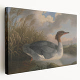 Goosander Dun Diver Art Print - Robert Wilkinson Padley Realism Bird Decor