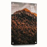 Large abstract wall art depicting autumnal trees in orange and brown hues on acrylic glass, ideal for dining room decor.