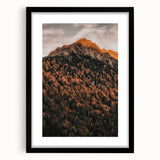 Extra large abstract art print with textured, colorful foliage design on a black framed canvas.