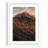 Abstract art print depicting autumnal colors in a white frame, ideal for dining room decor.