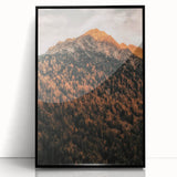 Large abstract wall art depicting autumnal trees in warm hues, framed in black acrylic.