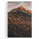 Large black and white abstract tree design on stretched canvas, suitable for kitchen wall art.