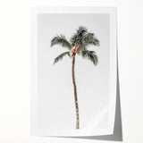 Extra large rolled canvas featuring a floral design in pastel shades, ideal for dining room or bathroom wall art.