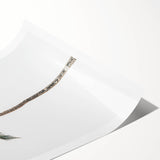 Extra large rolled canvas featuring line art flowers in black on a white background, ideal for large living room wall art.