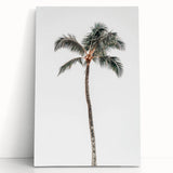 Large black and white abstract design on stretched canvas, ideal for kitchen wall art or bedroom decor.