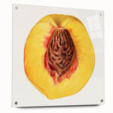 Acrylic print of large abstract fruit designs in vibrant colors, ideal for dining room or bedroom wall decor.