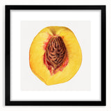 Extra large abstract art print featuring colorful, textured depiction of fruits on a black framed canvas.