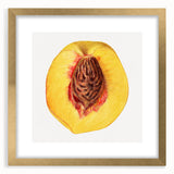 Extra large abstract art print featuring textured fruits in muted earth tones, framed with a gold mat.