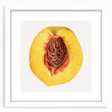 Abstract art print of assorted fruits in vibrant colors on a white framed canvas, ideal for dining room decor.