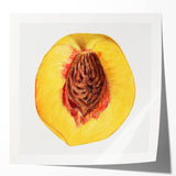 Extra large rolled print of vibrant, multicolored fruits, ideal for art wall dining room or classy bathroom.