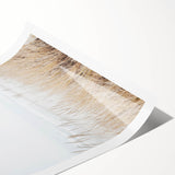 Extra large wall art featuring black line art flowers on a white background, ideal for large living room decor.