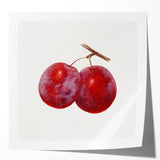Extra large rolled print featuring an assortment of vibrant fruits on a light background, ideal for dining room decor.