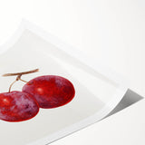 Extra large wall art featuring line art flowers in black on white, rolled print format, ideal for large living room decor.