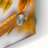Large abstract wall art in warm autumn hues on acrylic glass, ideal for dining room art in a mid-century modernist style.
