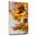 Large abstract wall art depicting fall season in vibrant orange and red tones on acrylic glass.