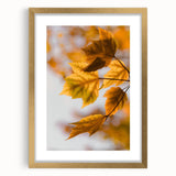 Extra large abstract art print with textured autumnal hues on a framed canvas, ideal for living room decor.