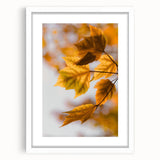 Abstract art print depicting autumnal trees in orange and red tones on a white framed canvas.