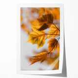 Rolled canvas print of autumnal floral motifs in warm orange and red tones, ideal for art wall dining room.
