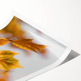 Extra large wall art featuring line art flowers in muted autumn colors on a rolled canvas, ideal for large living room decor.