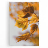 Black and white abstract design on large stretched canvas, ideal for kitchen wall art.