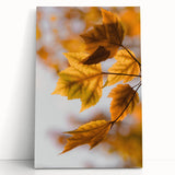 Black and white abstract tree design on large stretched canvas, ideal for kitchen wall art or bedroom ambiance.