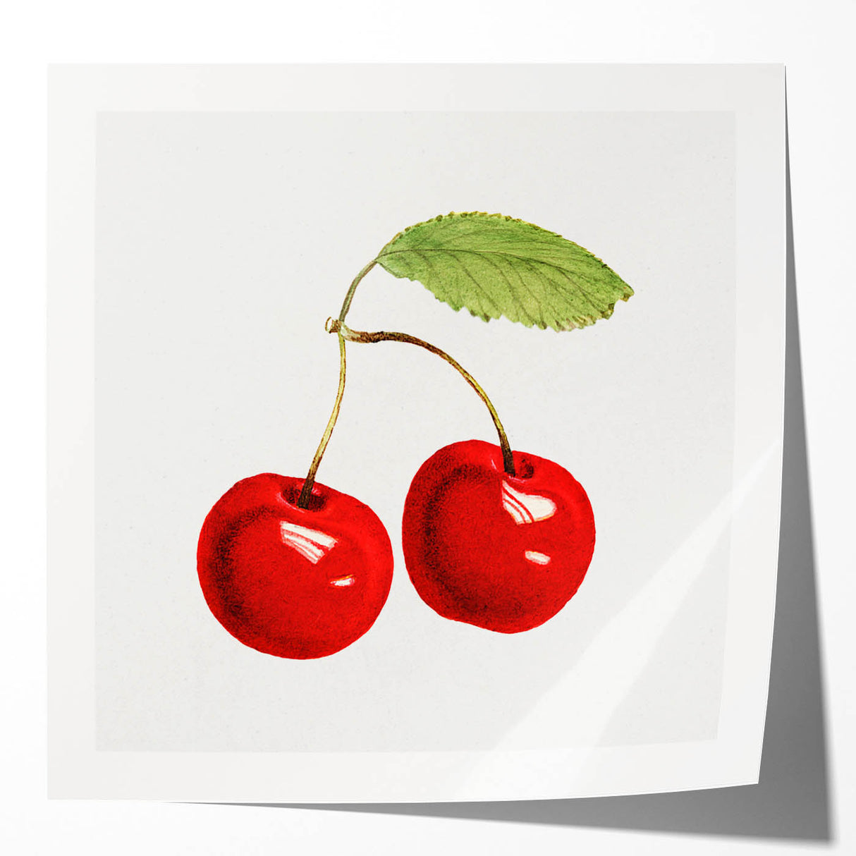 Rolled print of assorted fruits in vibrant colors, perfect for dining room wall art.