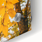 Large abstract wall art depicting fall foliage in vibrant orange and red hues on acrylic glass, ideal for dining room art.