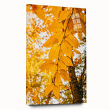 Large abstract wall art depicting autumn leaves in orange and red hues on acrylic glass, ideal for dining room decor.