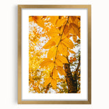 Extra large abstract art print depicting textured fall foliage in gold frame, ideal for living room wall decor.